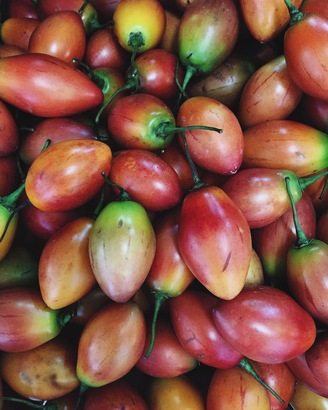 Tomate de árbol - usually blended and served as a beverage