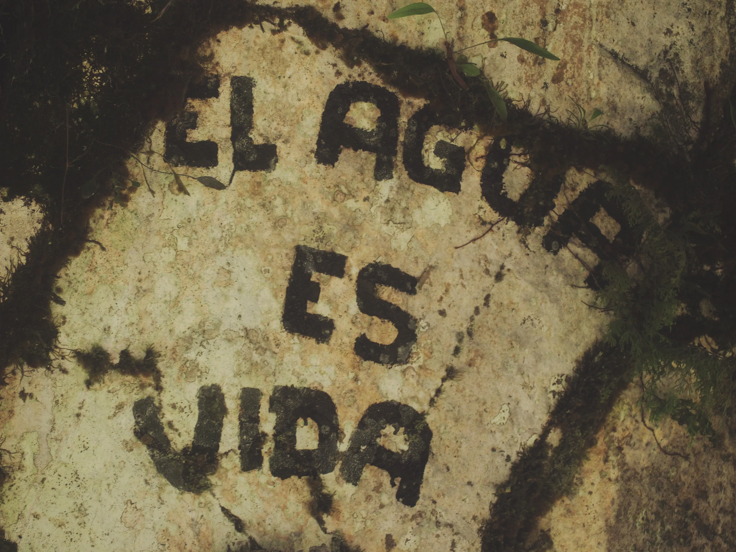 colombia14.jpg
