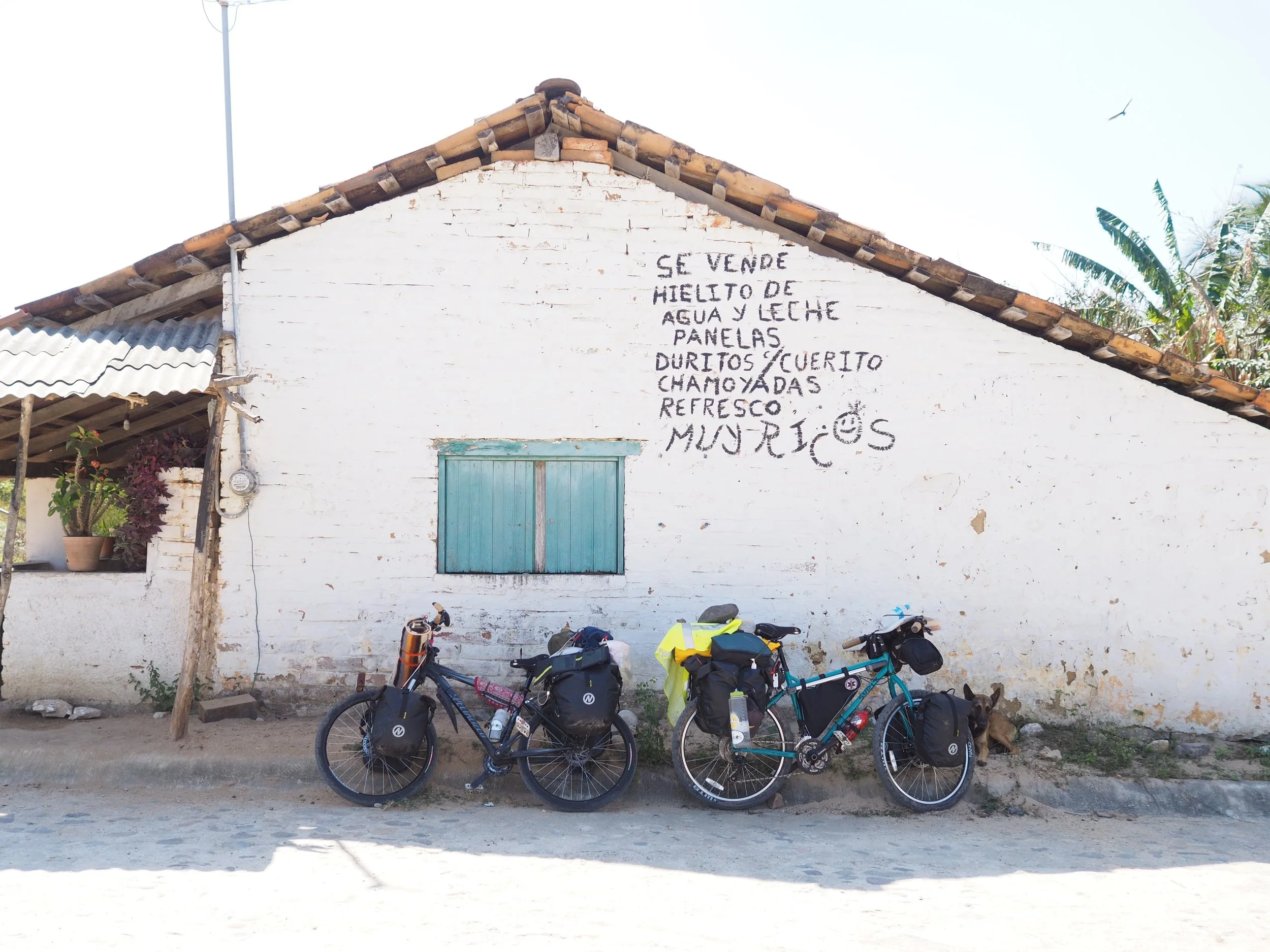 Our bikes at the very beginning of our adventures through Latin America. Mexico, February 2016.