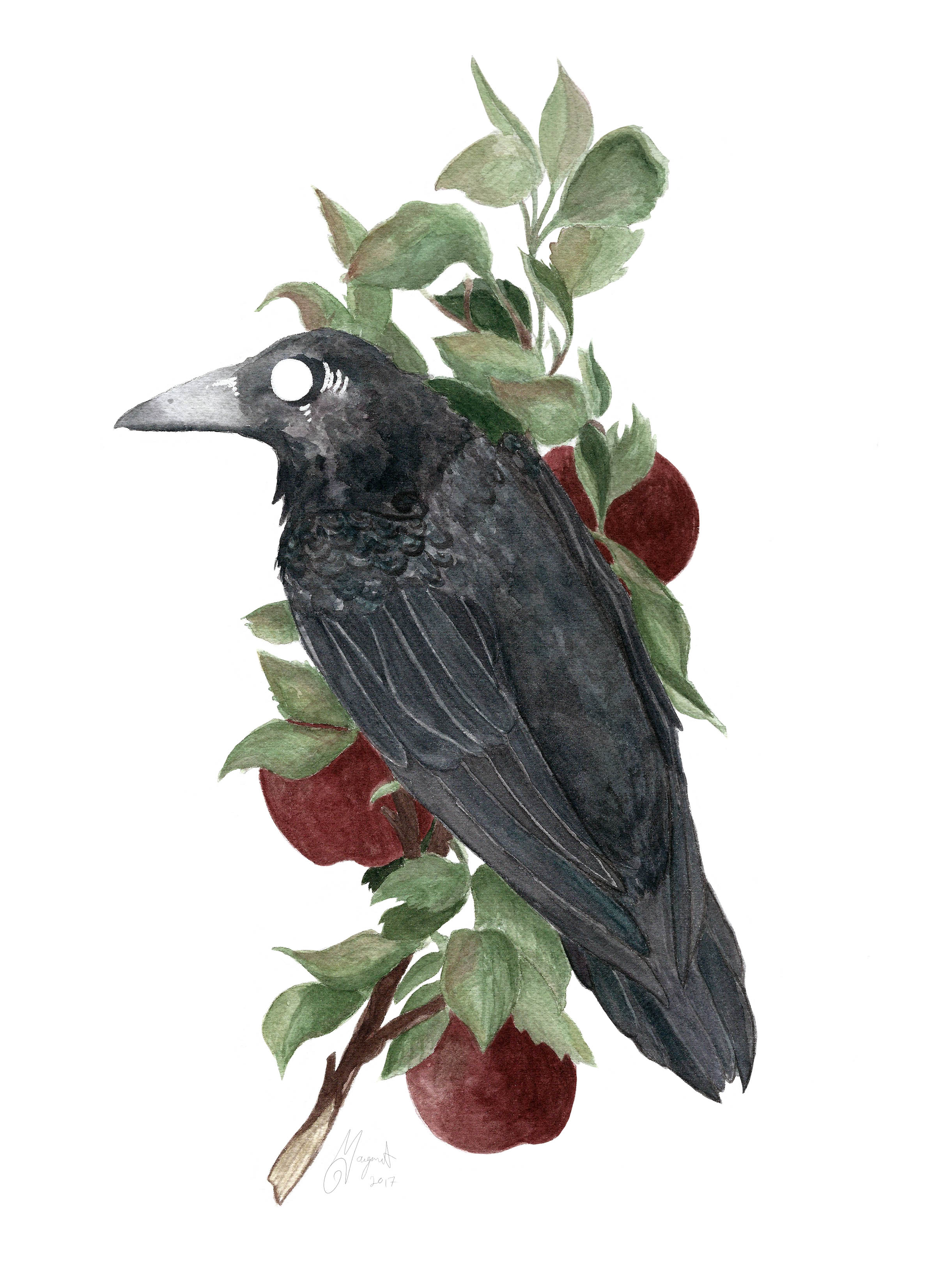 Crow in the Apple Tree