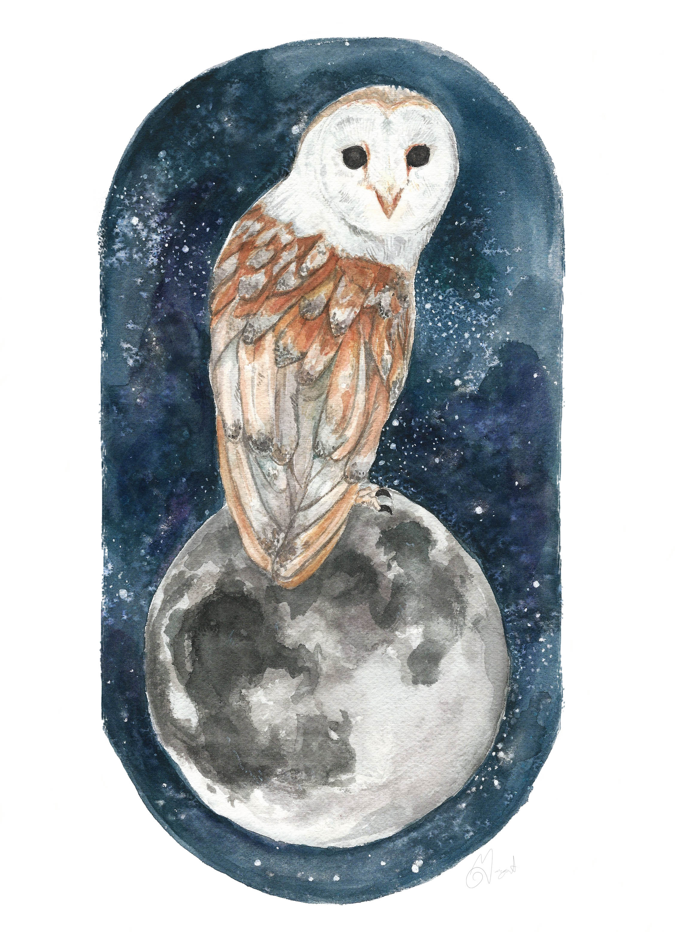 Owl and the Moon