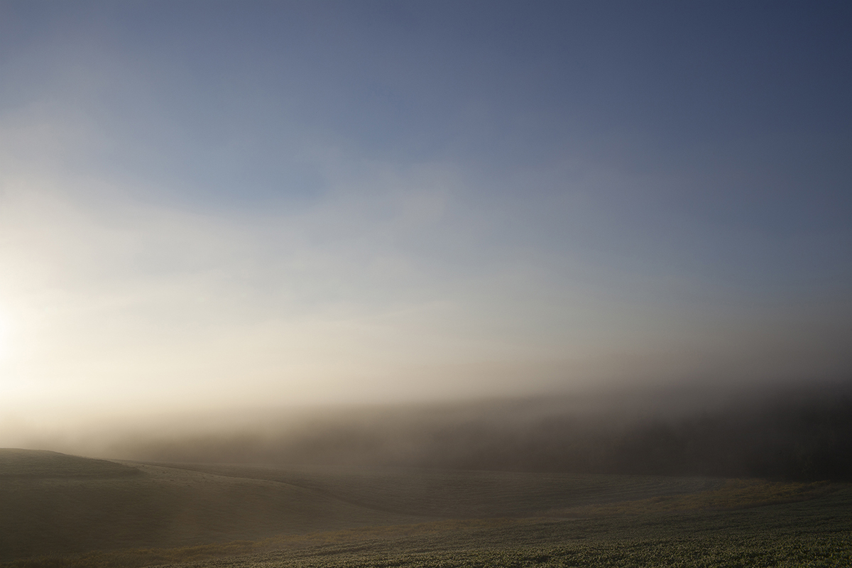  The Mist of Emyvale 