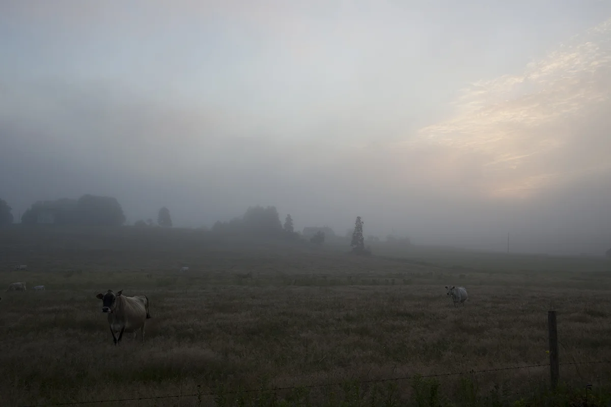 First Light