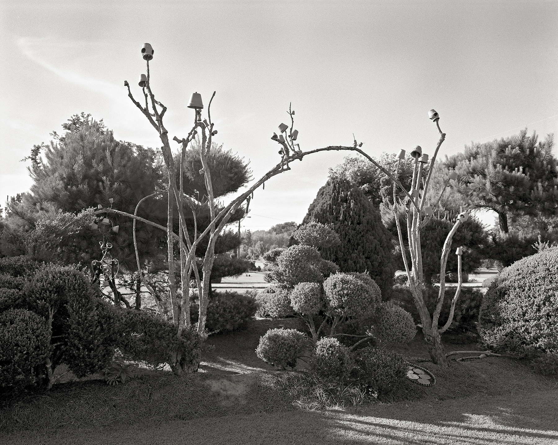  Pearl Fryar's Garden, Bishopville, South Carolina 