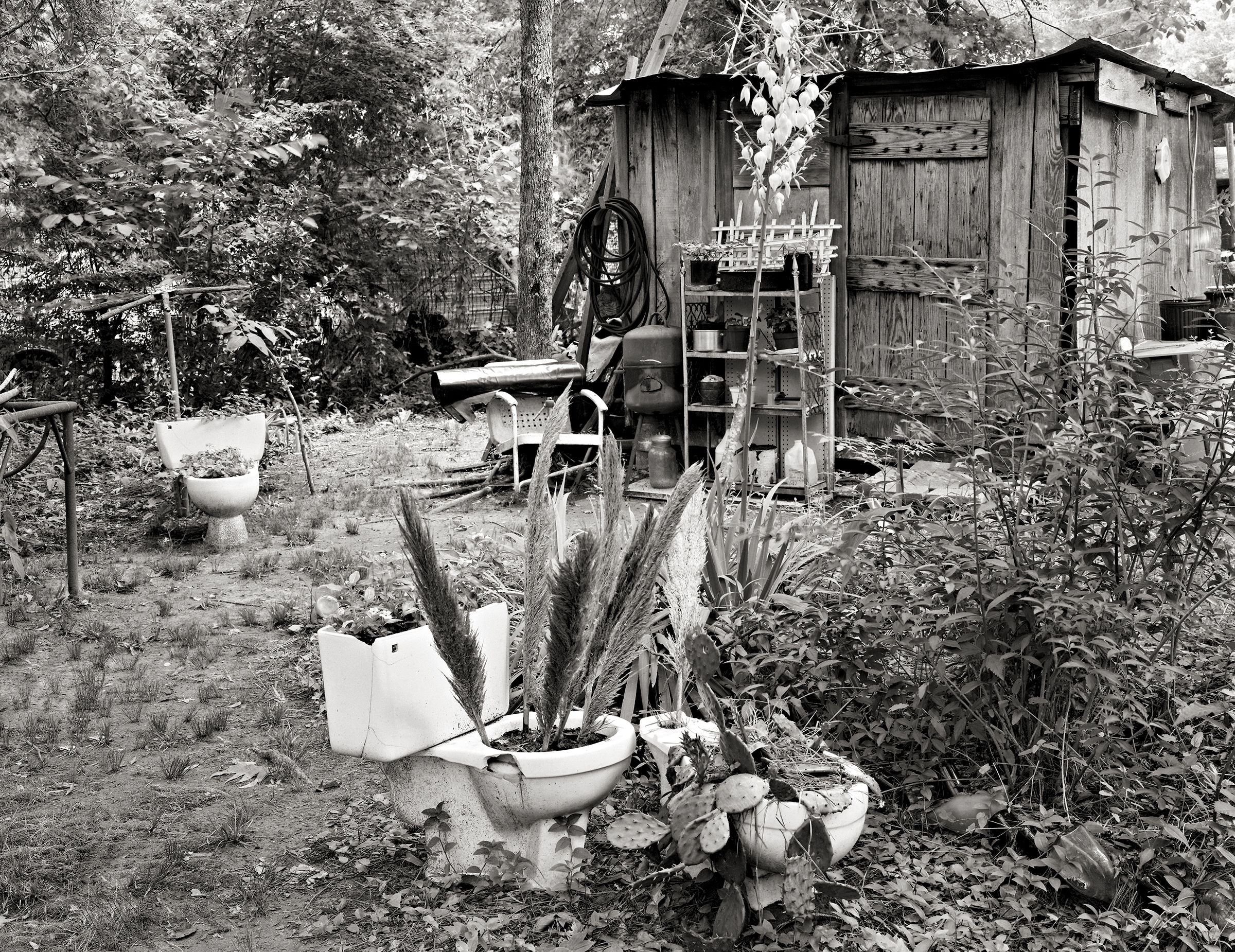  Alfred Lee Johnson's Backyard, Eutaw, Alabama 