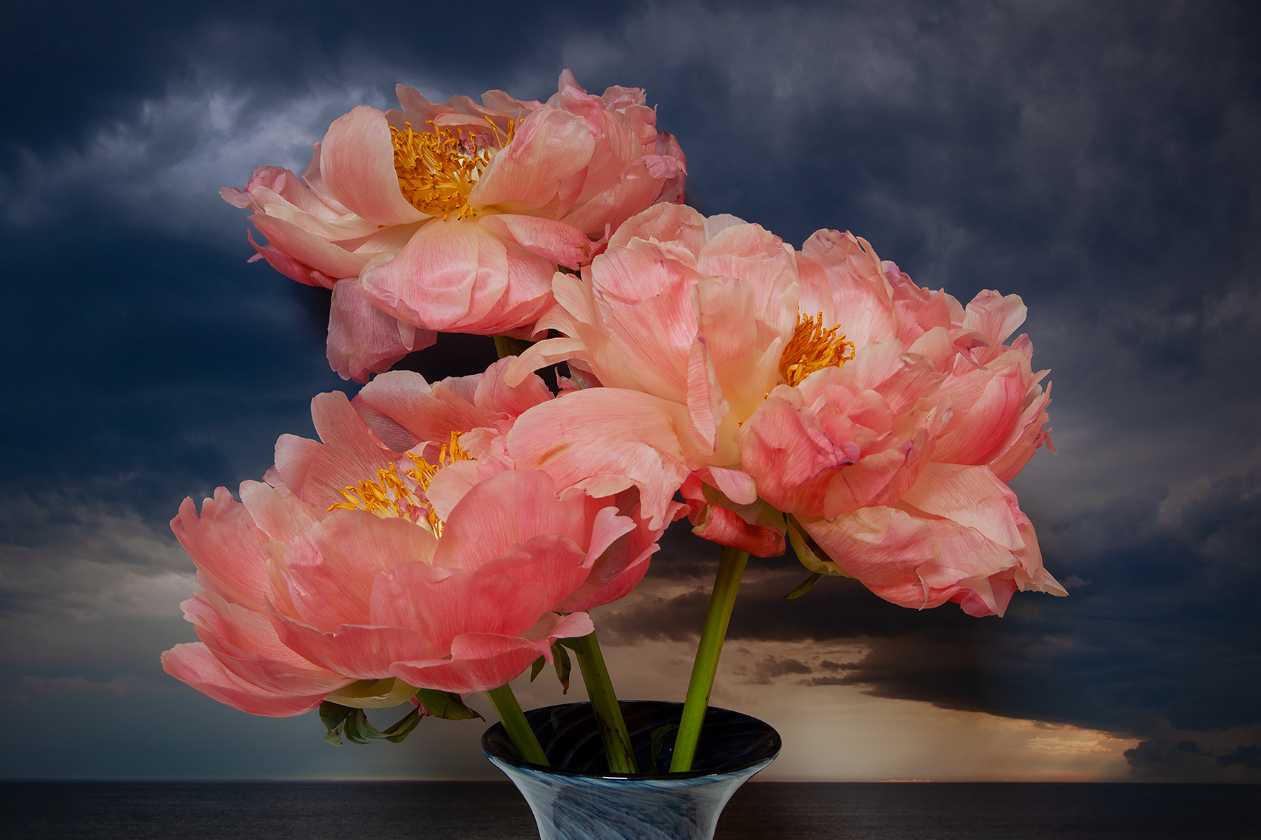  Peonies, Northumberland Strait 