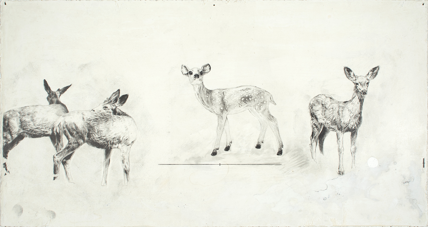 Stehekin Deer, Breyer Deer , 2013 graphite, acrylic on prepared paper 11 x 22"