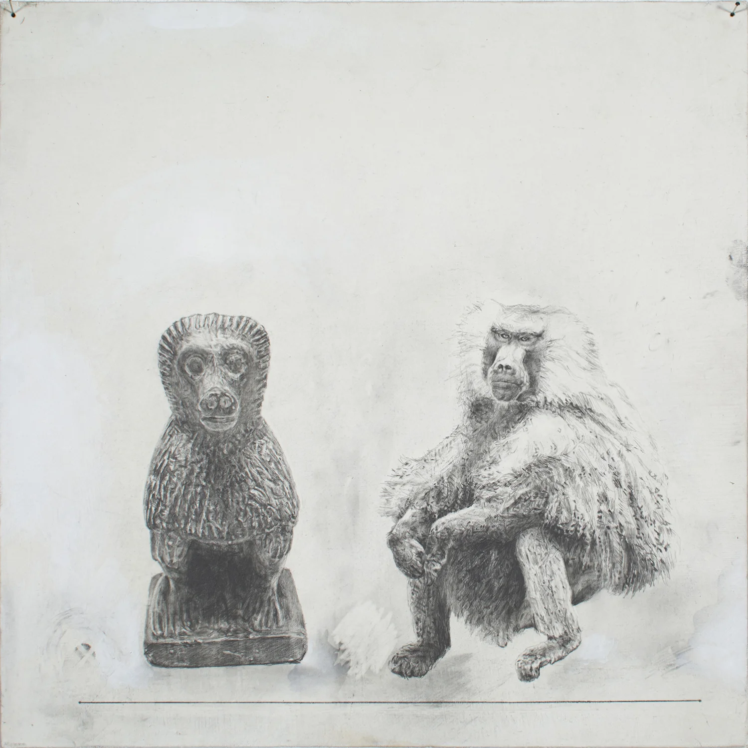 Baboon- Baboon , 2014 graphite, acrylic on canvas panel 12 x 12"