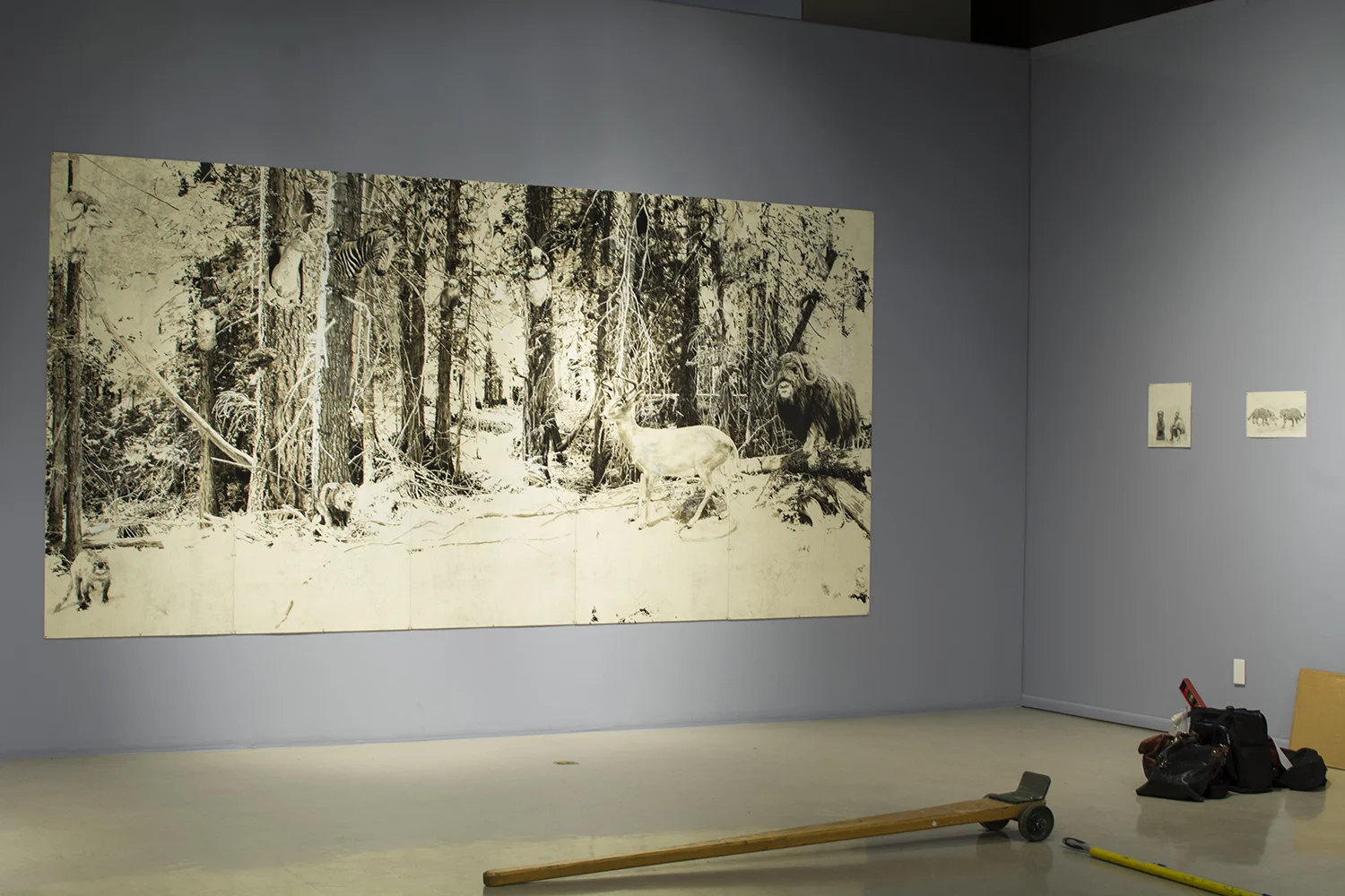 Preservation Woods - install shot Arizona Biennial, Tucson Museum of Art, 2015