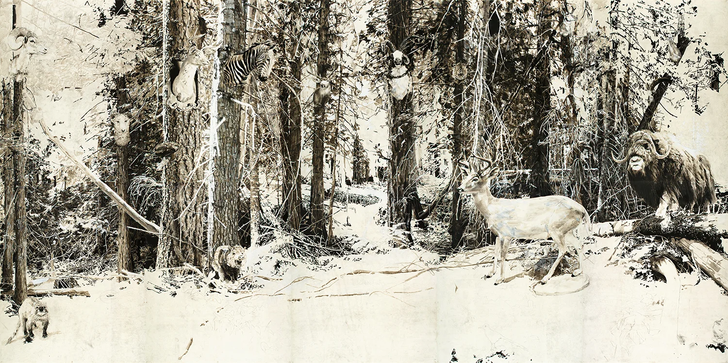 Preservation Woods