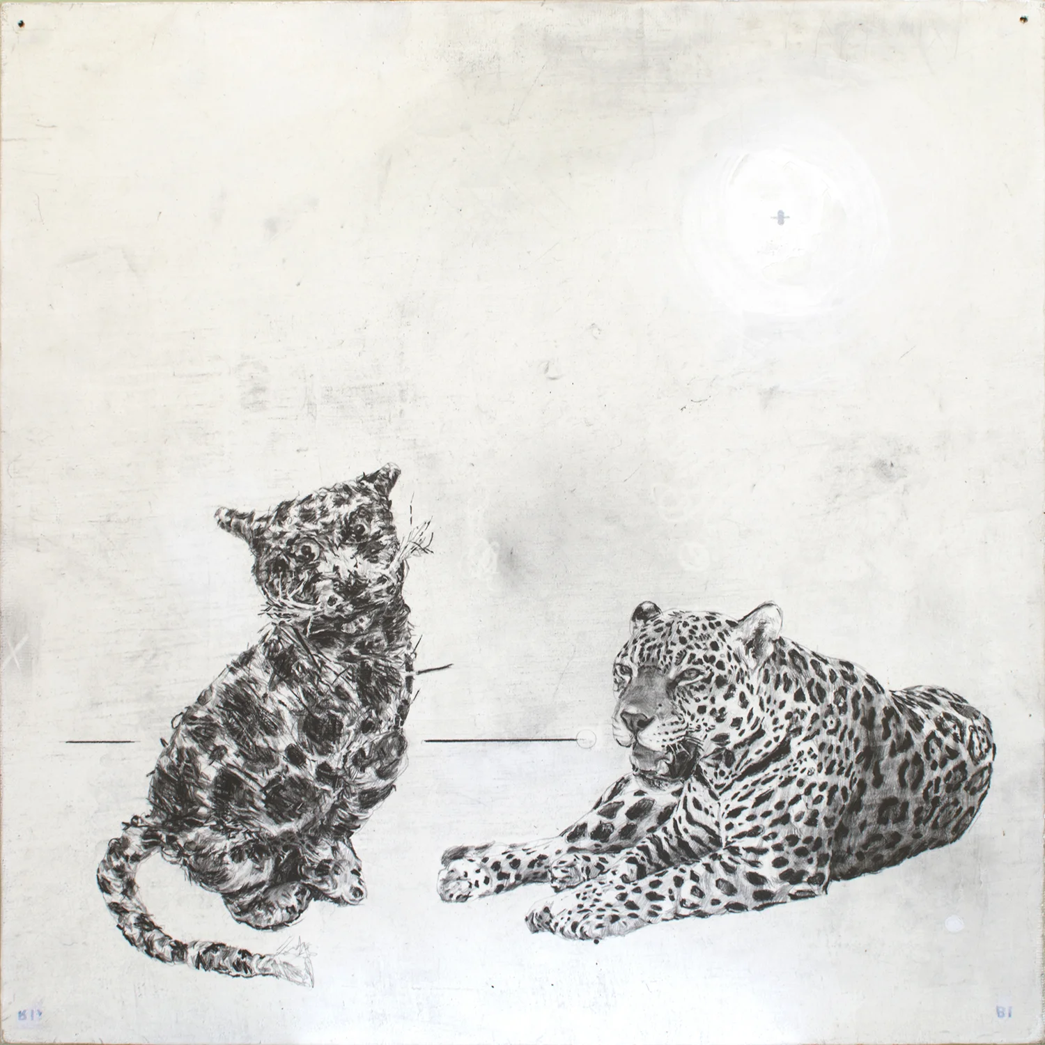 Jaguar- Jaguar 2