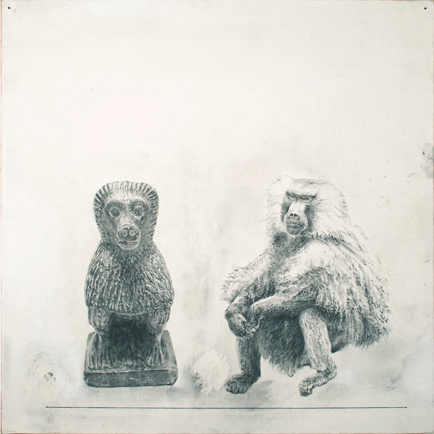 Baboon- Baboon