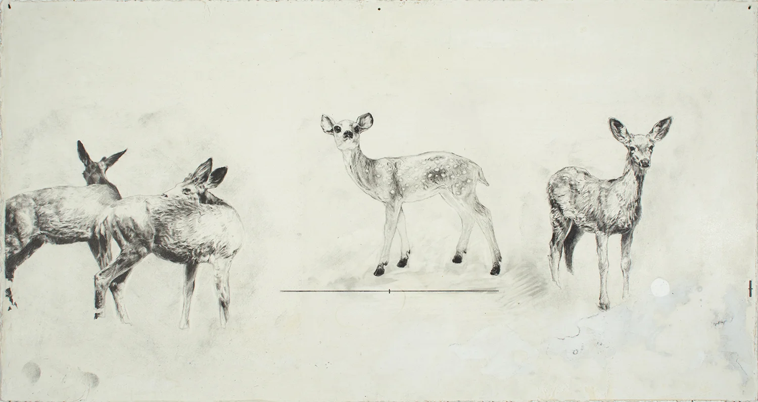 Stehekin Deer- Breyer Deer