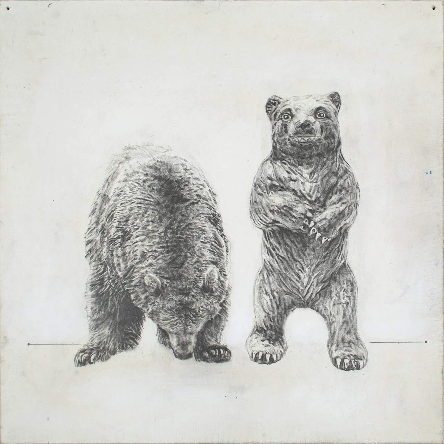 Bear- Bear 1
