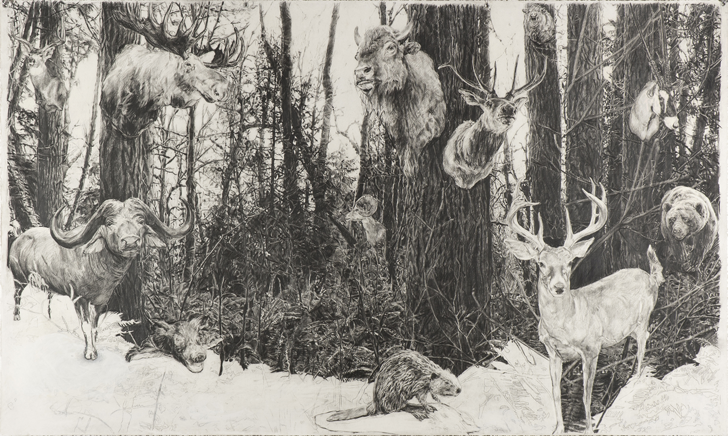 The Woods- Preservation