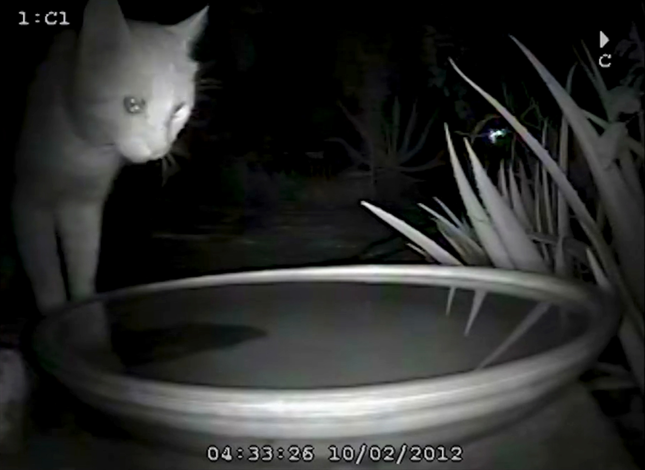 Urban Water, video still