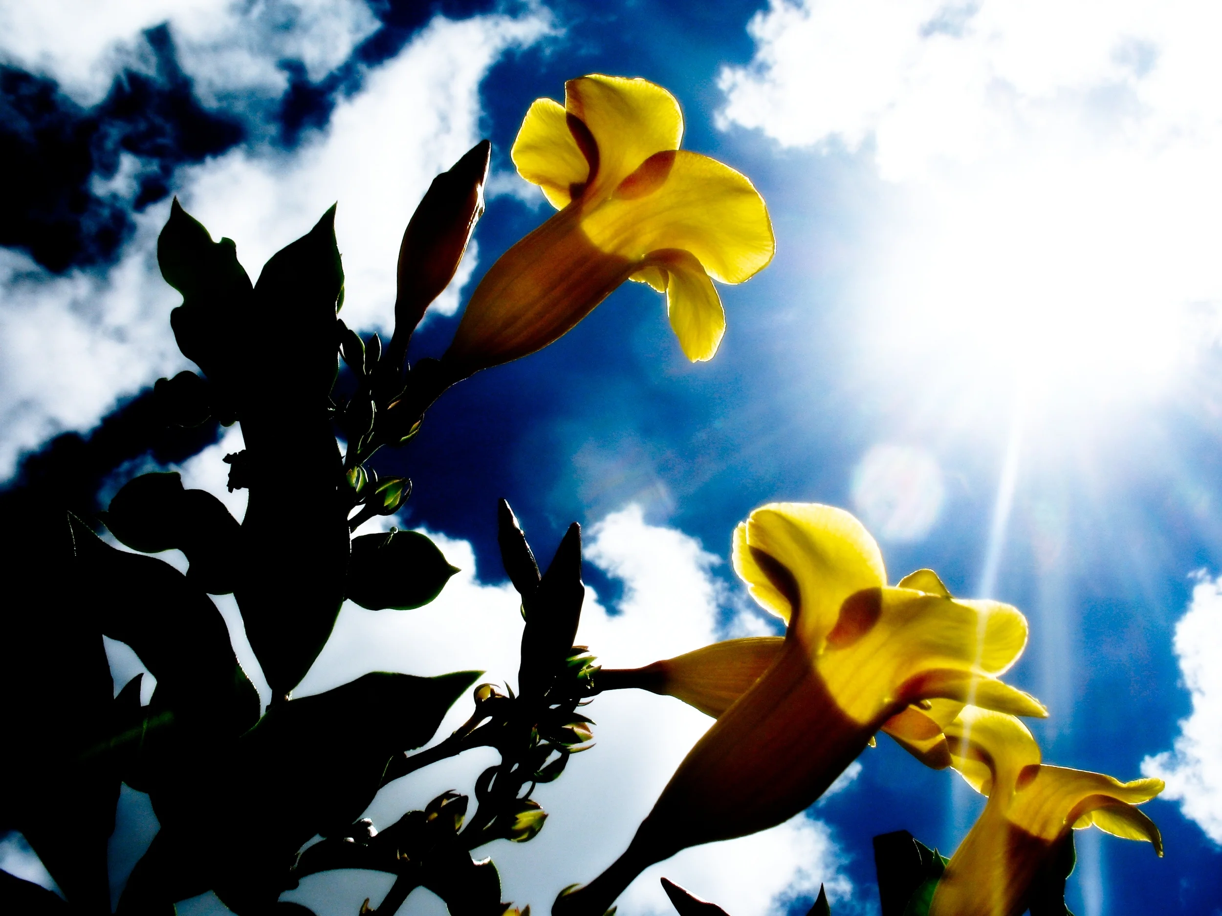 13 Months of Sunshine