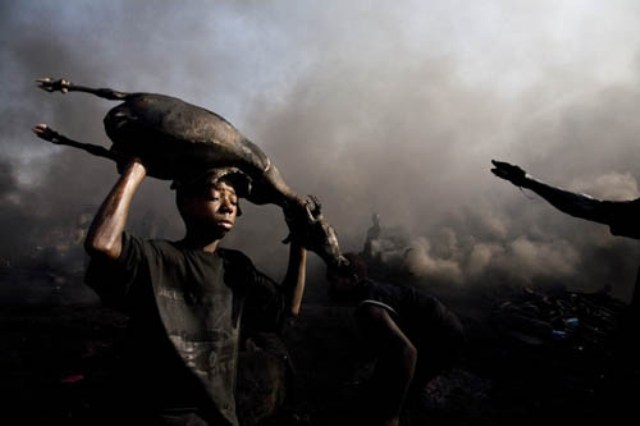 nigerian-oil-spill-boy-with-dead-carcass1.jpg