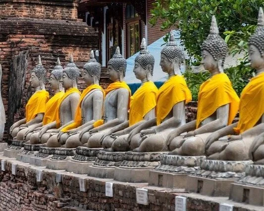 Twelve Rules for Being Human