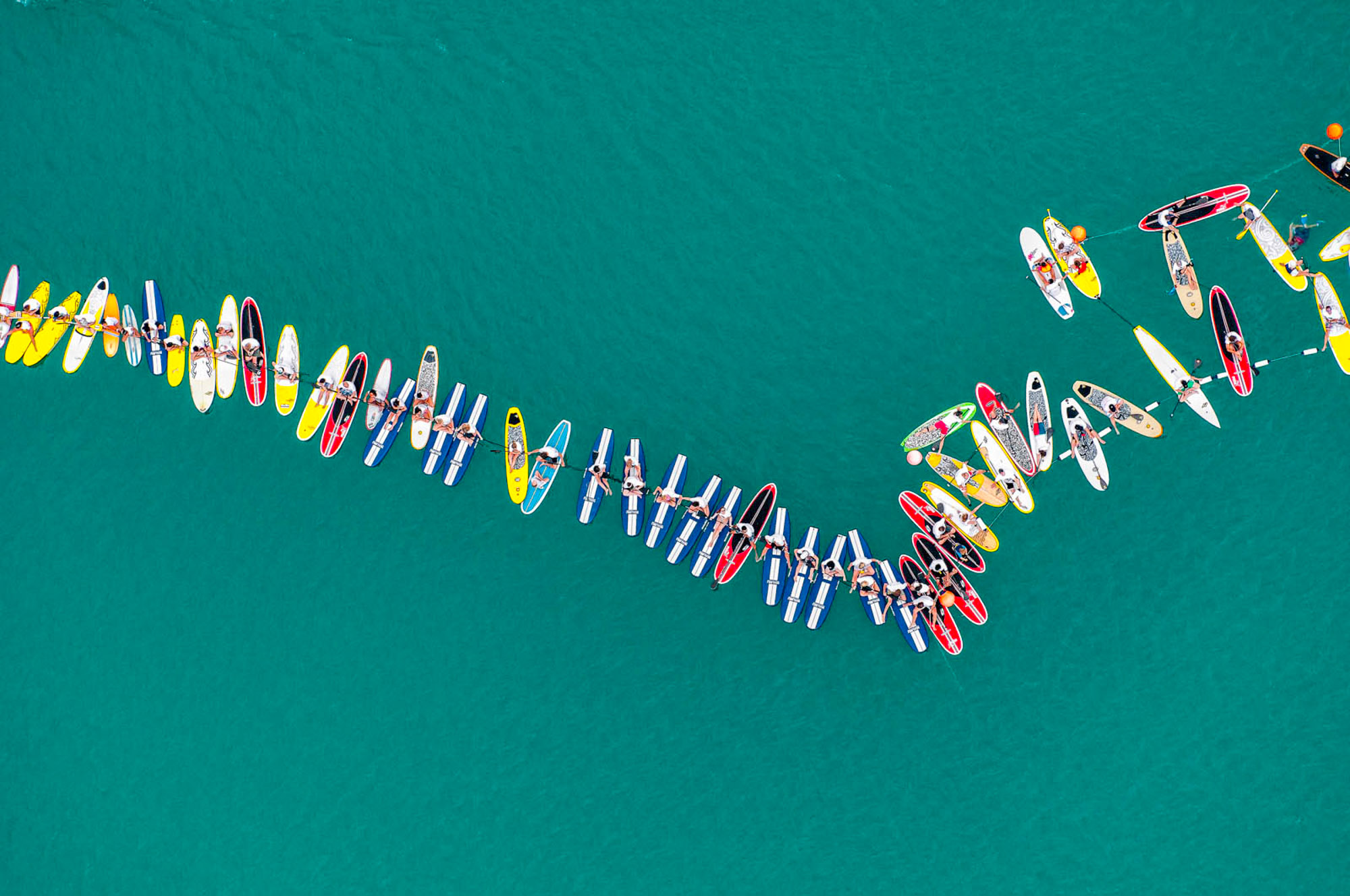 Paddle Board Line Up
