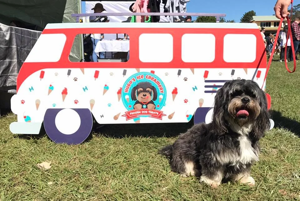 Hugo - the dog that started it all!