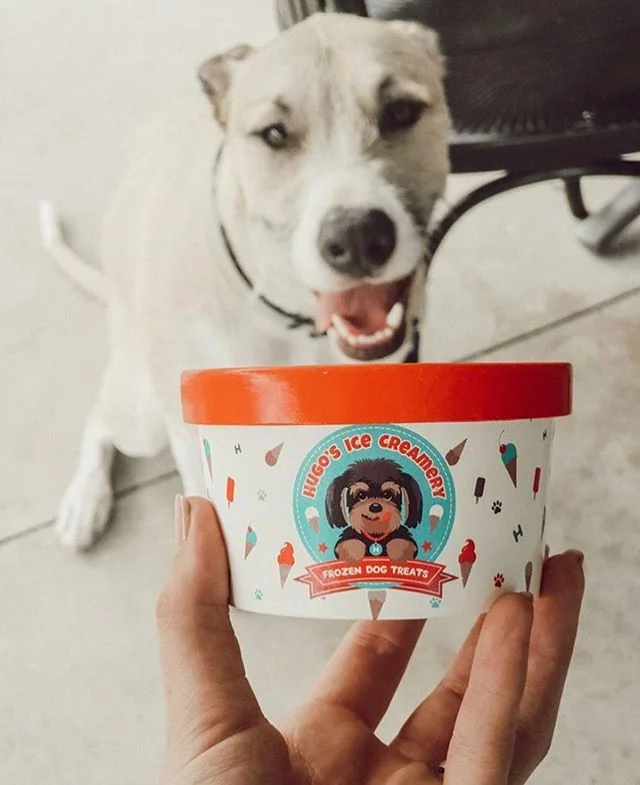 The look of love 😍 Where are you brunching with your pup this beautiful Sunday?
📷 @_frankandbeens
.
.
.
#peanutbutterdogicecream #brisbanedessert #brisbaneeats #goldcoasteats #doggieicecream #doggyicecream #dogicecream #doggiegelato #doggygelato #doggelato #hugosicecreamery #gcdogs #goldcoastdogs #brisbanedogs #dogsofbrisbane #brisbanedog #brisbanedogsquad