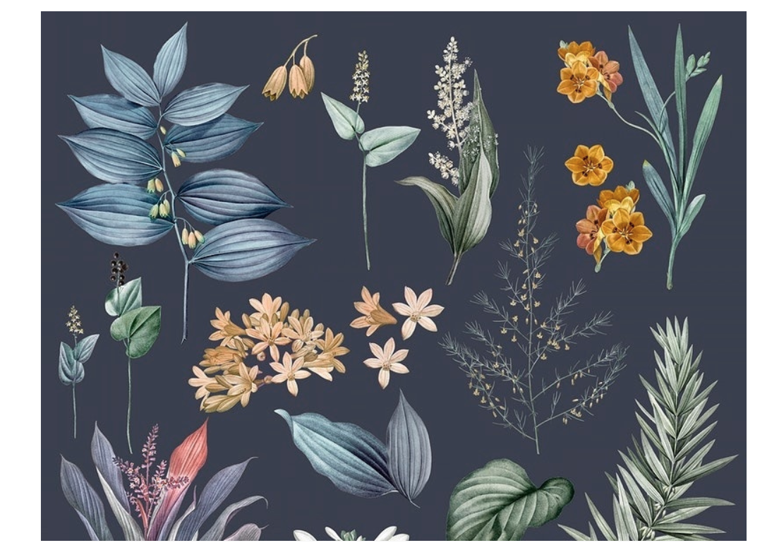 Screen Shot 2019-05-15 at 10.06.18 PM.png