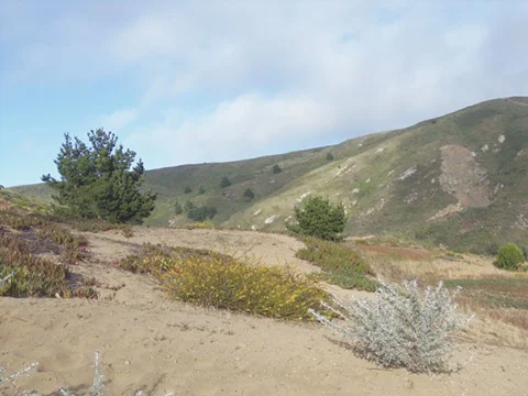 THE EXAMINER: Daly City Signals Support for San Bruno Mntn. PCA