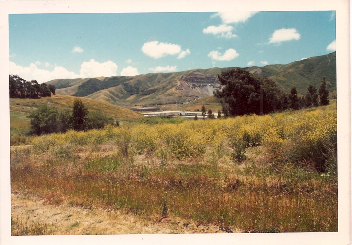 San Bruno Mountain's northeast ridge before development