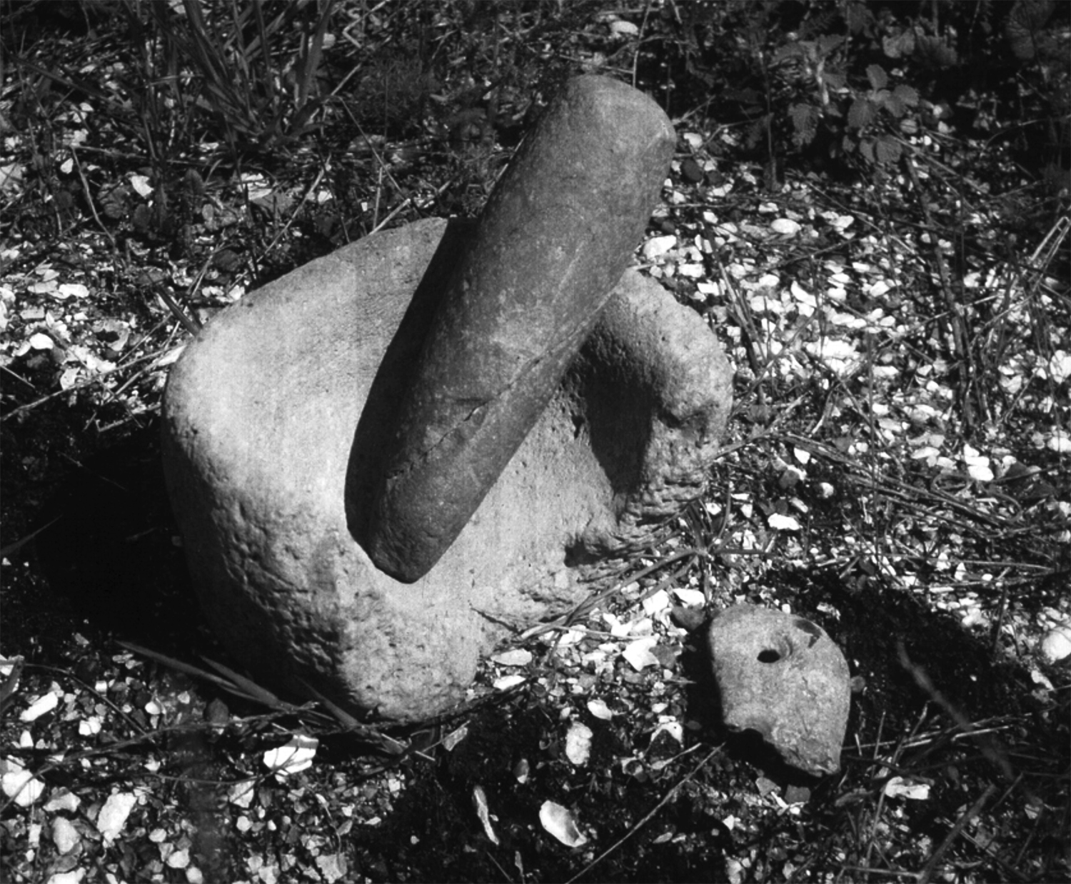 Native American grinding rock and pestle from San Bruno Mountain