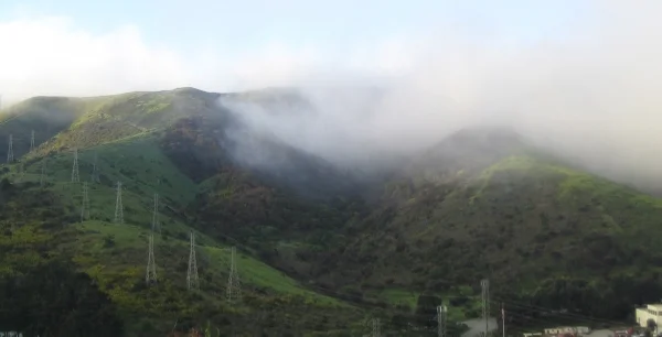 Fog.alane.jpg