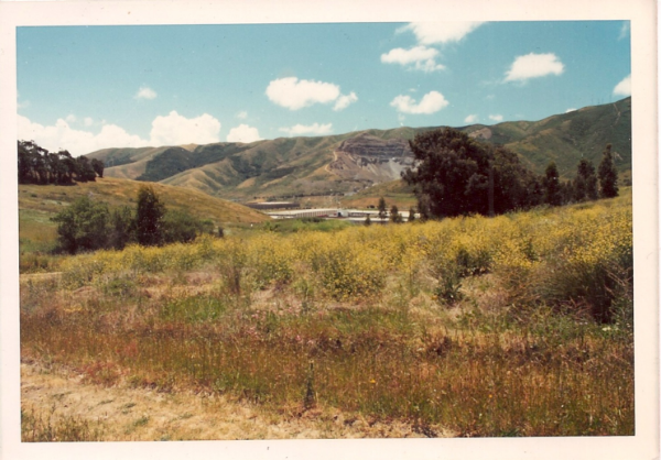 San Bruno Mountain's northeast ridge before development