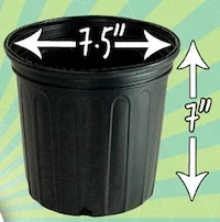 NurseryPot_1gal.jpg