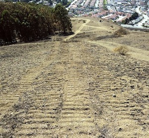 bulldozer tracks in 2013