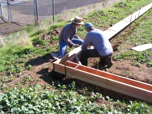 Laying the Foundation - 2009