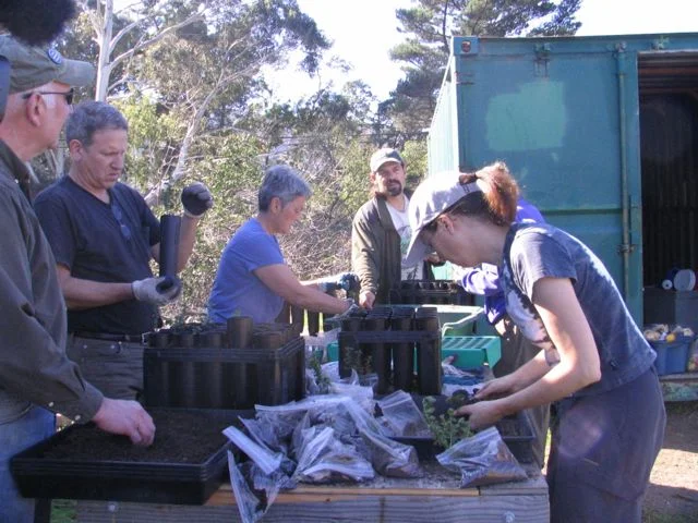 FIRST - October 2009 - MBN volunteer workday