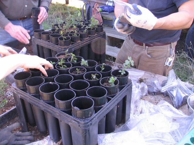 FIRST - October 2009 - MBN volunteer workday