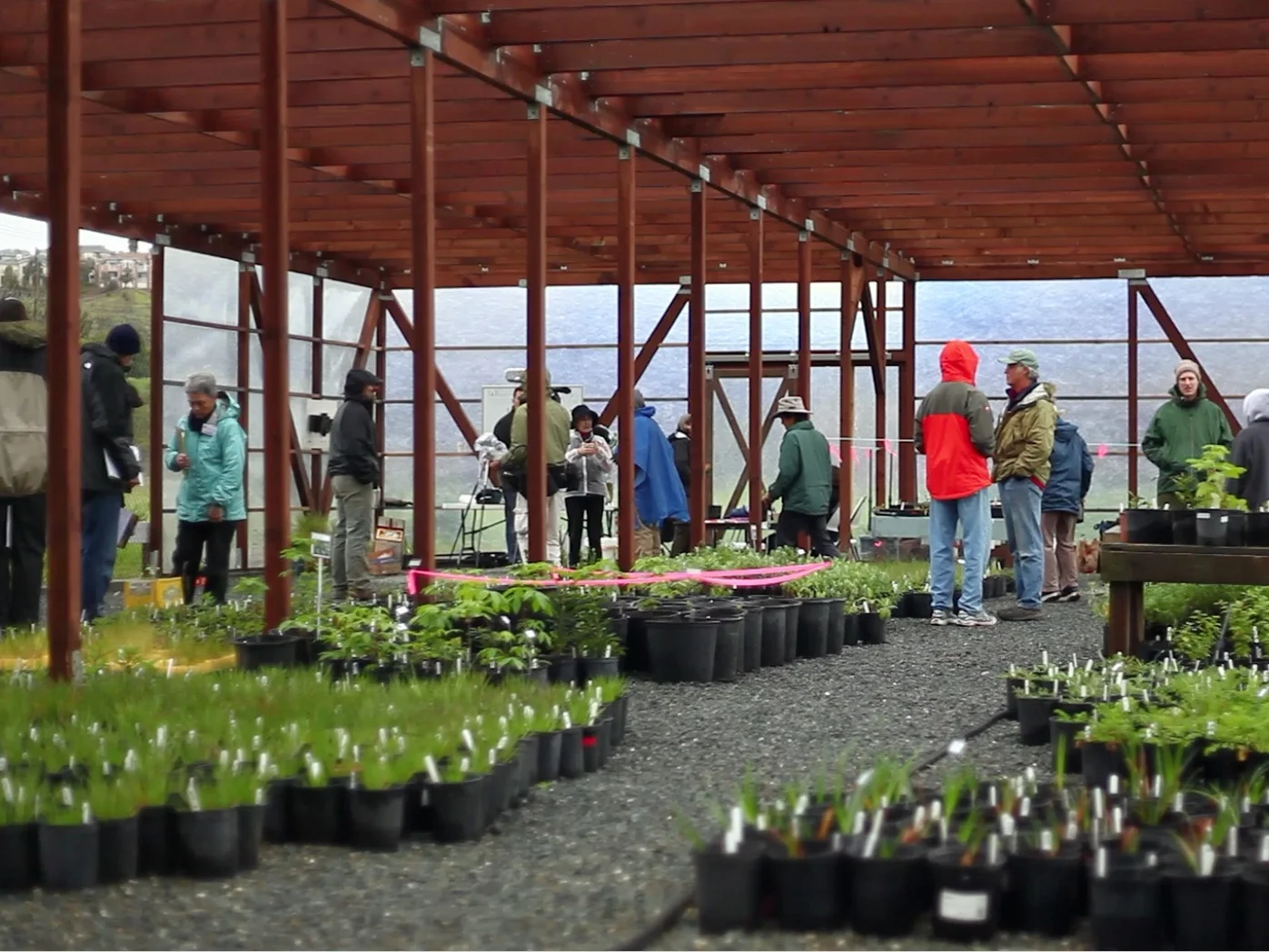 FIRST - native plant sale - March 2011