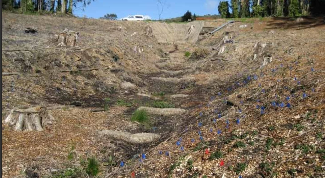 STEWARDSHIP SATURDAYS