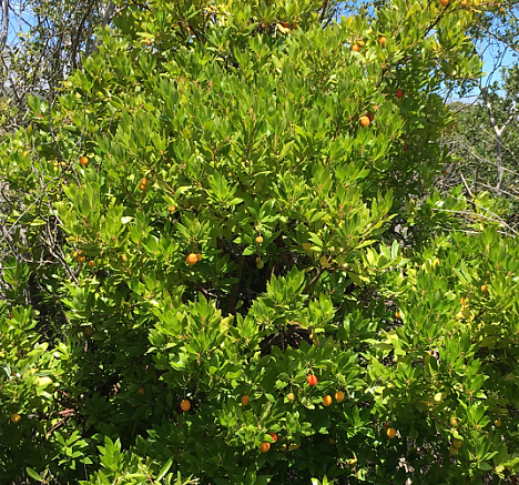 image001.png