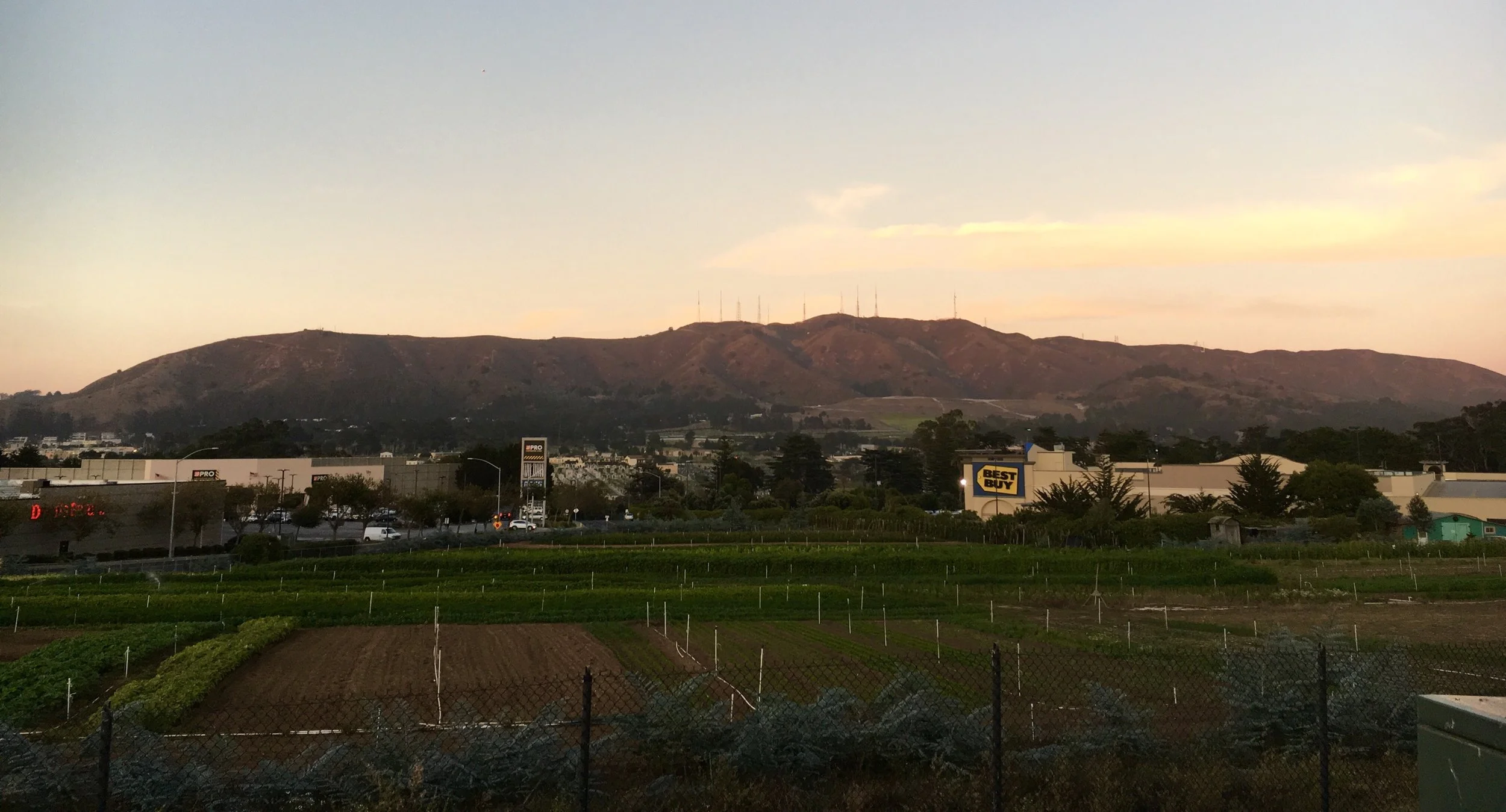 About the Mountain — San Bruno Mountain Watch