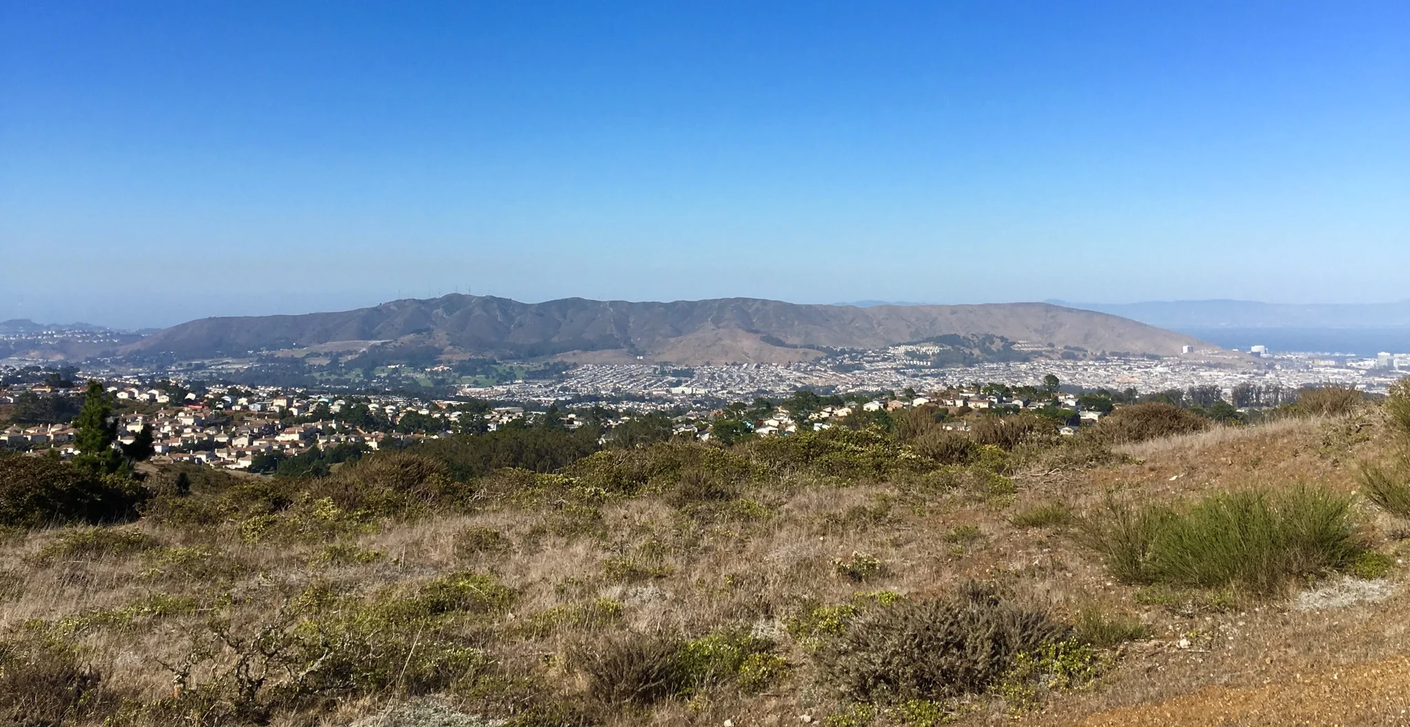 About the Mountain — San Bruno Mountain Watch