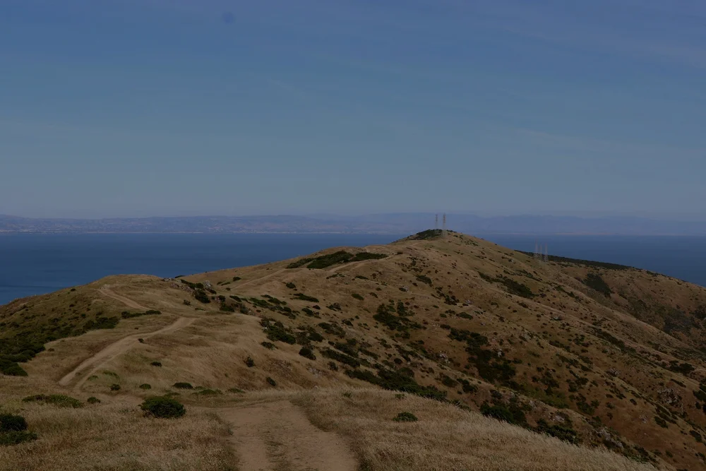 San Bruno Mountain Watch