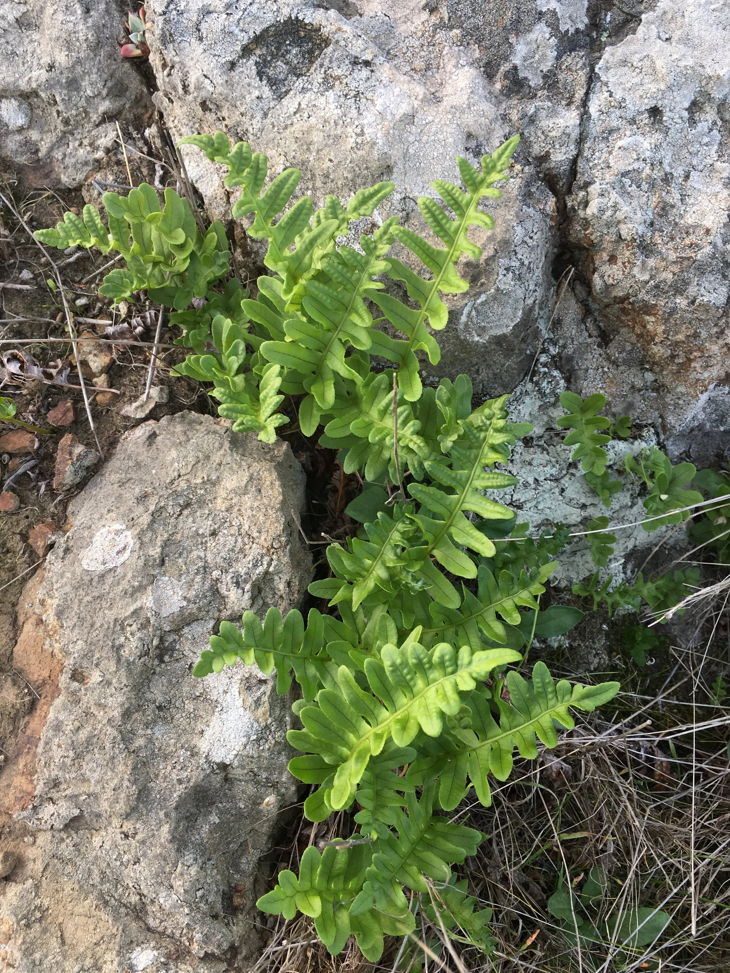 Doug's Mountain Journal - Autumn 2022  