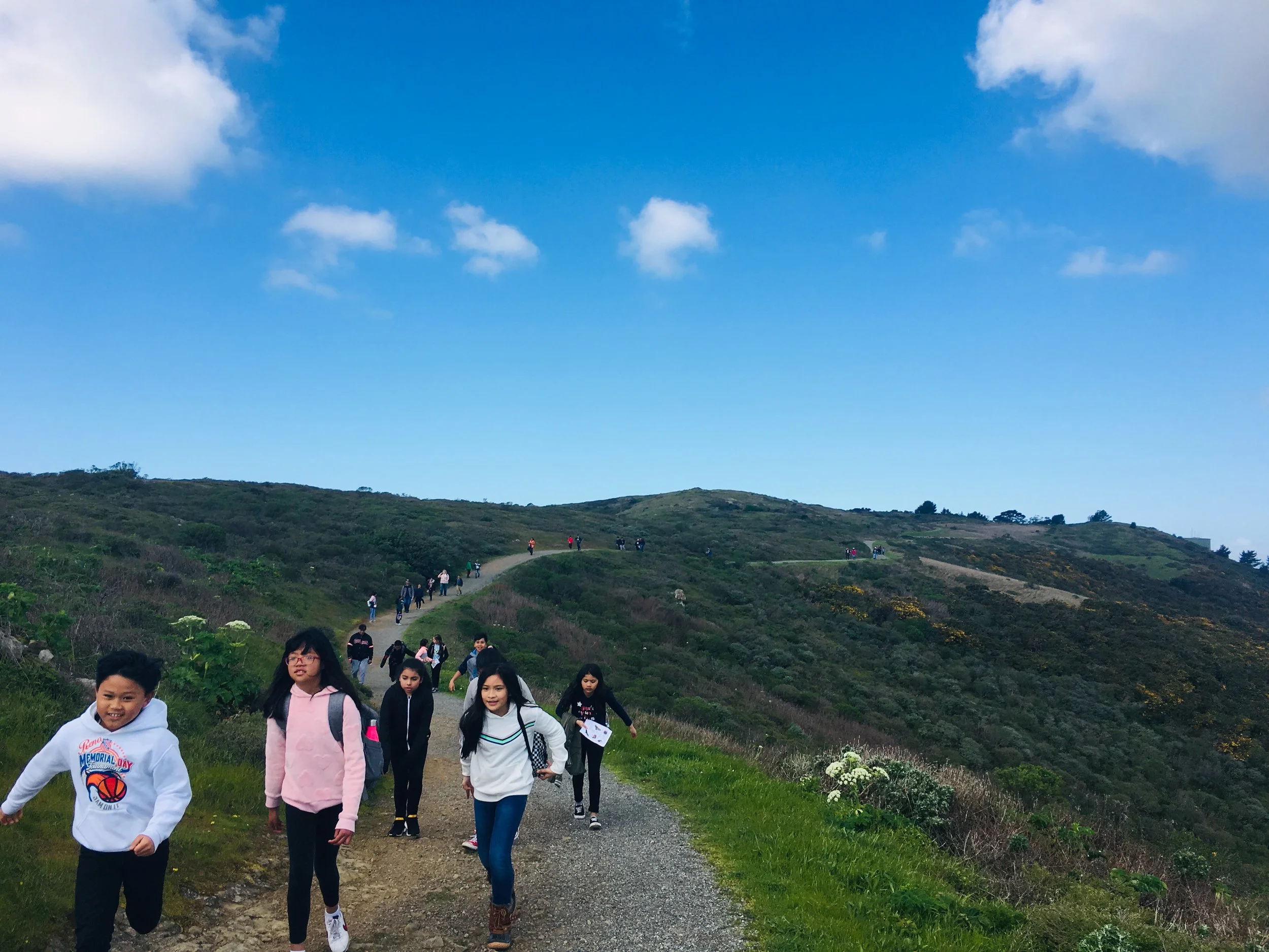 Elevate the Elfin — San Bruno Mountain Watch