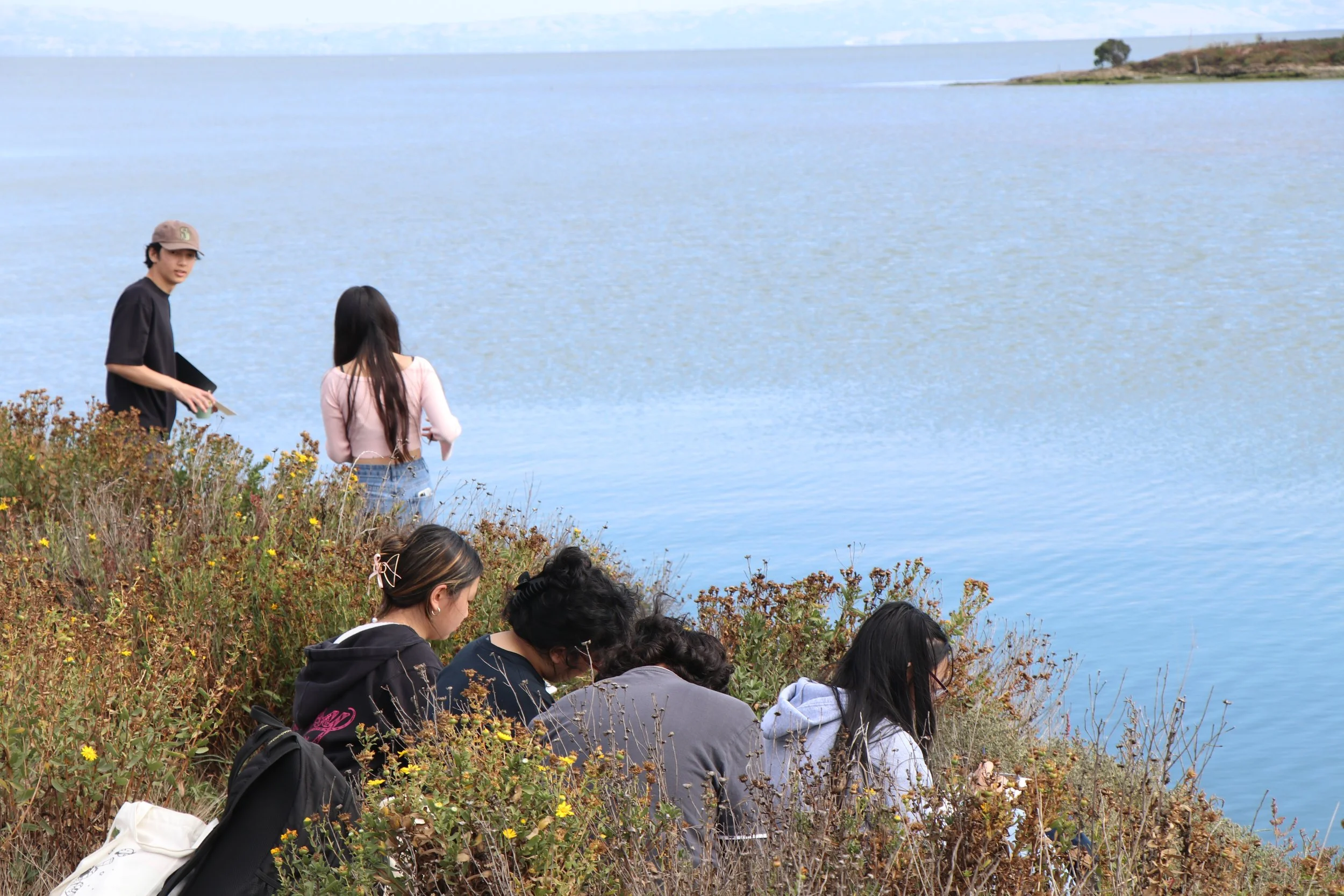 Colma Creek - Planting Day by the Bay