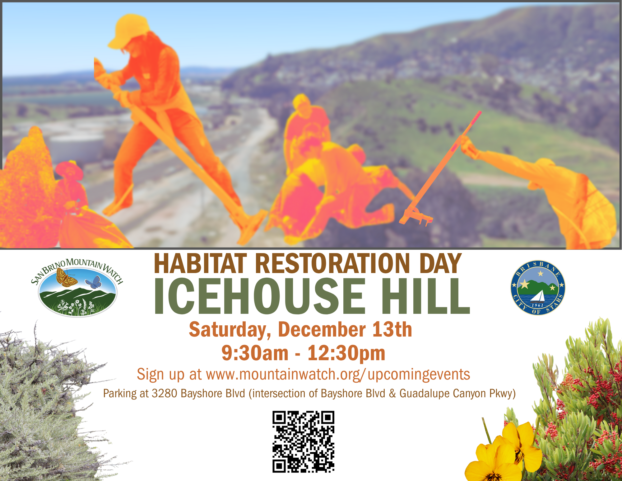 Habitat Restoration on Icehouse Hill