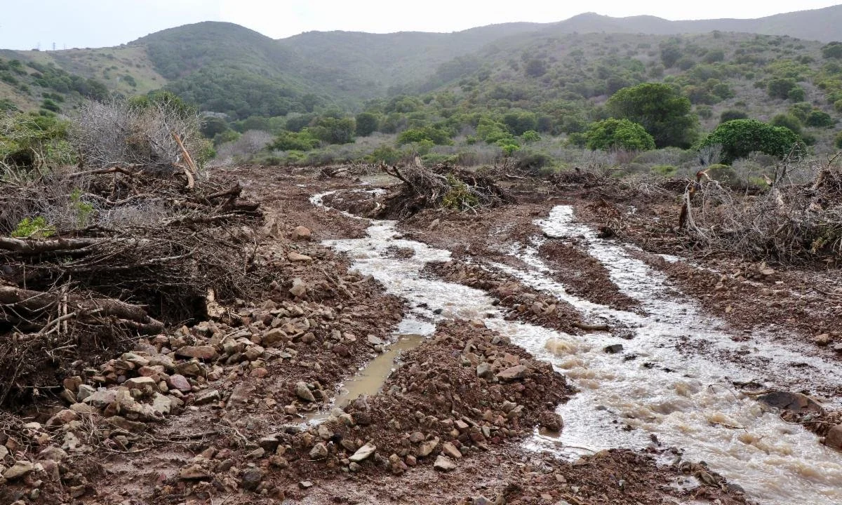 Fluvial Processes in Geomorphology & How the Flora Responded to a Devastating Debris Flow in Buckeye Canyon on December 31, 2022