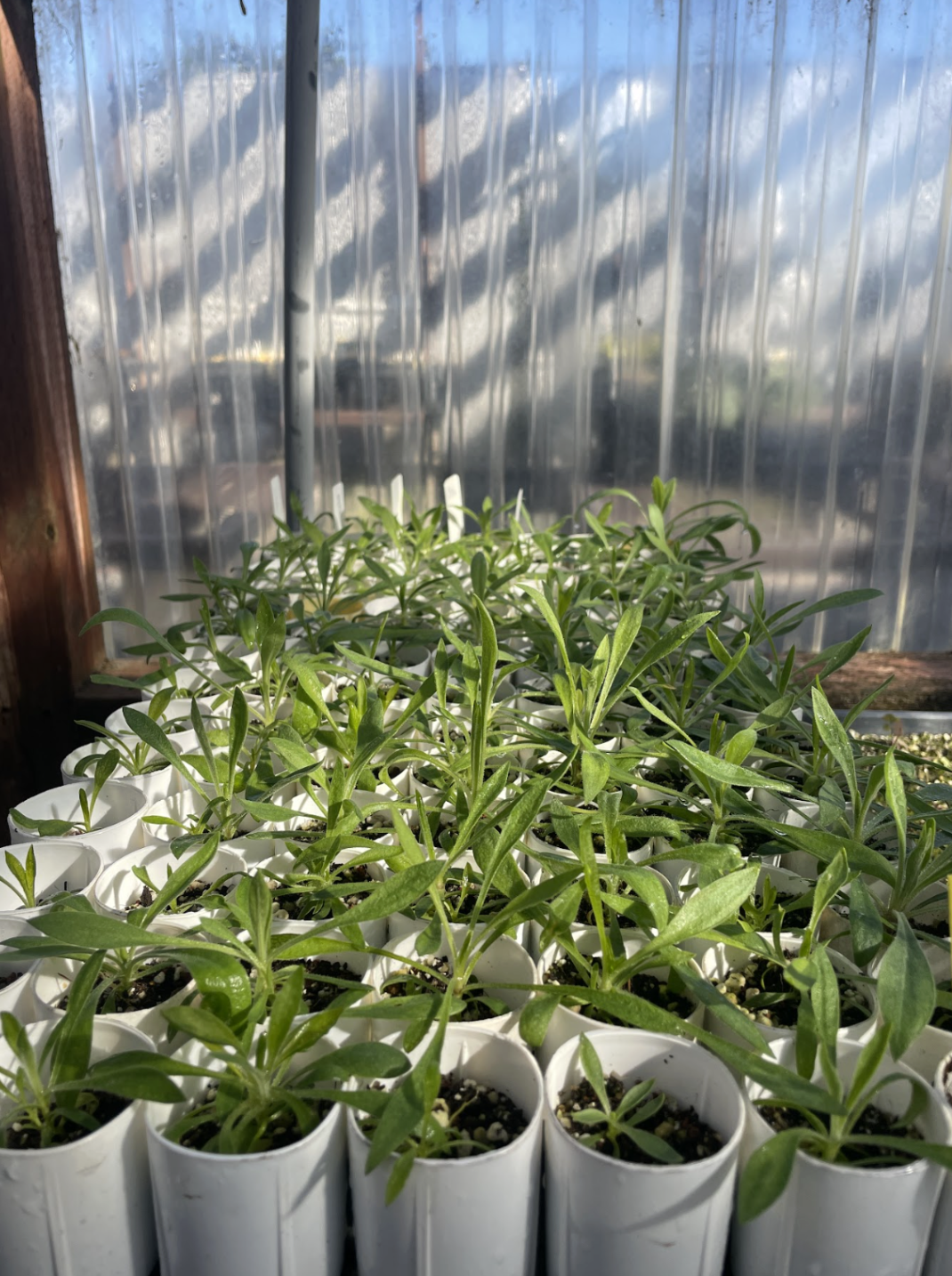 Screenshot 2025-12-03 at 8.38.21 PM.png