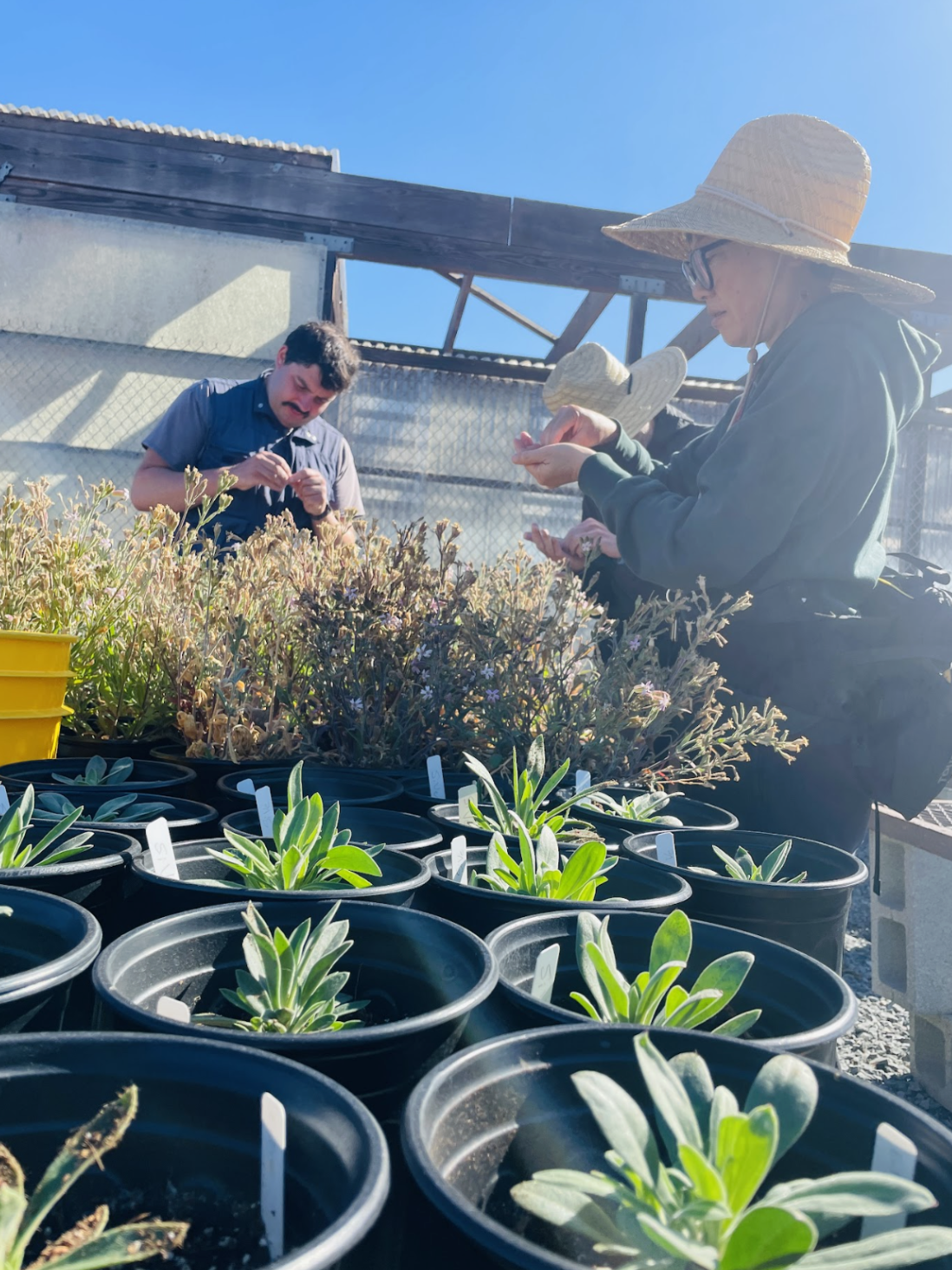 Screenshot 2025-12-03 at 8.38.31 PM.png